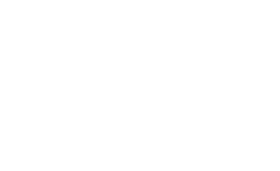 World Fuel Services Logo